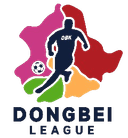 Dongbei Star Football Super League