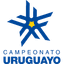 دوري الدرجة الأولى في أوروجواي