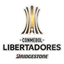 Piala Libertadores