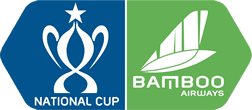 ভিয়েতনাম ন্যাশনাল কাপ
