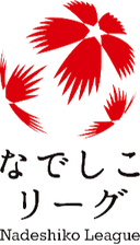 دوري نادشكو الياباني الدرجة الاولى