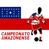 ब्राज़ीलियाई कैम्पियोनाटो अमेज़ोनेन्से डी फुटबॉल