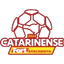 ब्राज़ीलियन कैम्पियोनाटो कटारिनेंस डिवीजन 1
