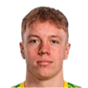 ليو كيلونين