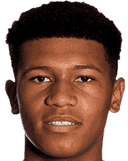 بروكلين كابونجولو