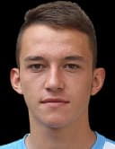 إيليا فيزنوفيتش