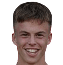 ثيم فيرهاين