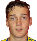 كاريل بوجيزني