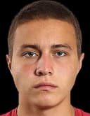 ميخائيلوفيتش آديل تيشكين