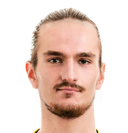 Riberts janvaris jaunarajs