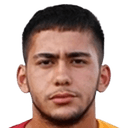 مصطفى فيتاهوغلو