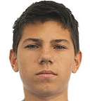 ميخائيل ليامزين