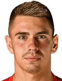 أدريان سلانشيك