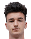 ألكسندر تسفيتكوفيتش