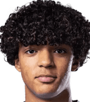 لوكا فليتشر