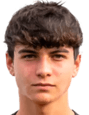 نيكولا أنيلي