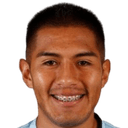 إروين ماريو سافيدرا