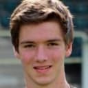 फेलिक्स स्ट्रॉस्नर