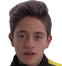 دانييل سولياني