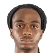 Trey Kongolo