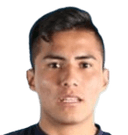 برايان أرانيبار