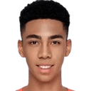 زانغ هونغفو