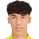 أبابيكري إركين