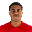 بريستلي فاركوهارسون