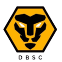 দ্বিবেদী ব্রাদার্স