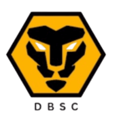 দ্বিবেদী ব্রাদার্স