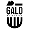 गालो मारिंगा