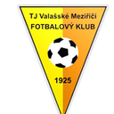 تي جيه فالاسك ميزيريسي