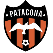 পাতাকোনা