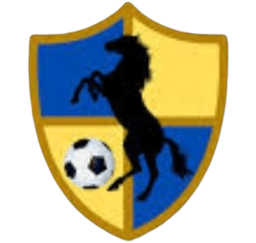 रेसिंग यूनाइटेड