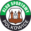 गोरनिक पोलकोविसे