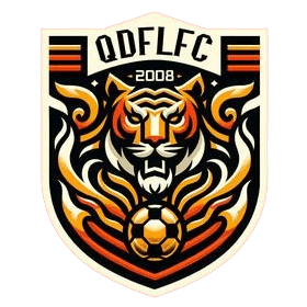 किंगदाओ फुली