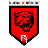 flamengo arcoverde