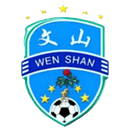 Wenshan Team