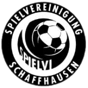 এসভি শাফহাউজেন