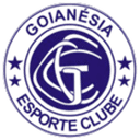 গোয়ানেসিয়া ইউ২০