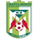 Chapulineros de Oaxaca II