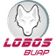 Lobos Puebla