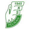 Pelikan Lowicz