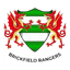 بريكفيلد رينجرز