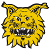 Ilves Tampere U20