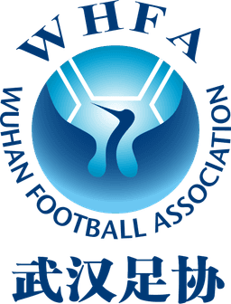 উহান মেনস্ U১৩