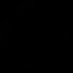 मैनचेस्टर लेस (महिला)