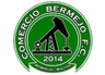 Comercio Bermejo