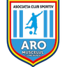 ARO Muscelul Campulung