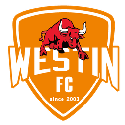 ফোশান স্পোর্টস মহিলা